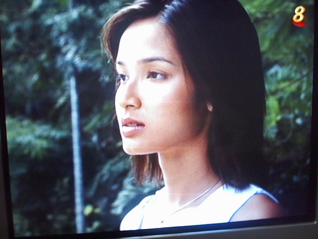 TV screen capture by Song